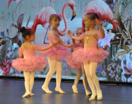 ecarte-ballet-2024-05-25 14