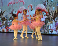 ecarte-ballet-2024-05-25 14